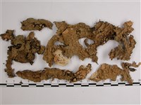 藏品(略無色亞粒陷兜衣)的圖片
