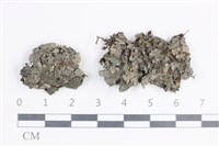 藏品(鱗瓦衣)的圖片