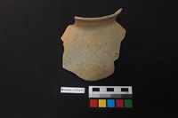 藏品(陶片)的圖片