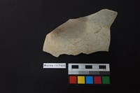 藏品(陶片)的圖片