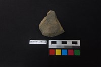 藏品(陶片)的圖片