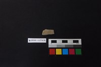 藏品(陶片)的圖片