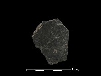 藏品(帶加工痕石材)的圖片