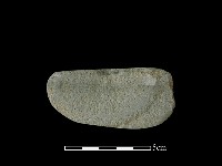 藏品(石鋸)的圖片