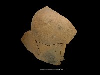 藏品(陶罐)的圖片