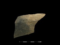 藏品(陶片)的圖片