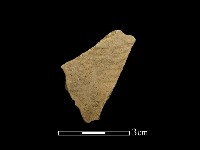 藏品(陶片)的圖片