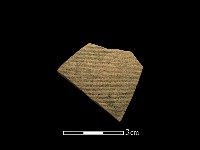 藏品(陶片)的圖片