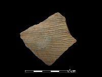 藏品(陶片)的圖片