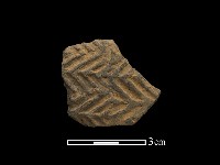 藏品(陶片)的圖片