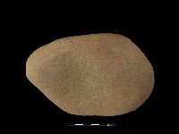 藏品(石核)的圖片