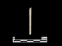 藏品(骨針)的圖片