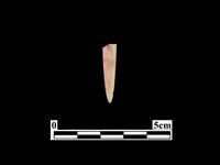 藏品(骨鏃)的圖片