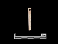 藏品(骨針)的圖片