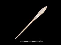 藏品(骨針)的圖片