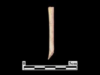 藏品(骨器)的圖片