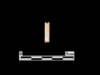 藏品(骨針)的圖片