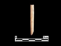 藏品(骨針)的圖片