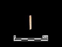 藏品(骨針)的圖片