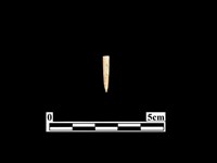 藏品(骨針)的圖片