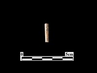 藏品(骨器)的圖片