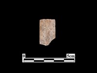 藏品(骨器)的圖片