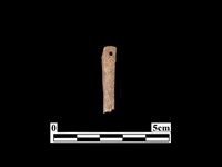 藏品(骨針)的圖片