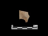 藏品(骨器)的圖片