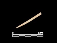 藏品(骨針)的圖片