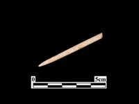 藏品(骨針)的圖片