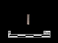 藏品(骨器)的圖片