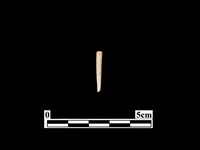 藏品(骨針)的圖片