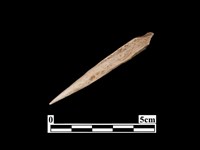 藏品(骨鏃)的圖片