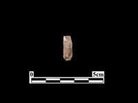 藏品(骨器)的圖片