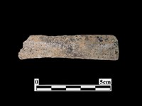 藏品(骨器)的圖片