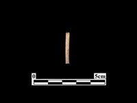 藏品(骨器)的圖片