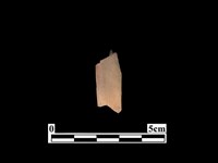 藏品(骨器)的圖片