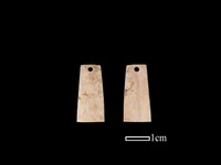 藏品(骨飾)的圖片