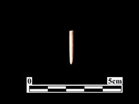 藏品(骨針)的圖片