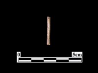 藏品(骨器)的圖片