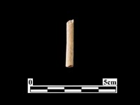 藏品(骨器)的圖片