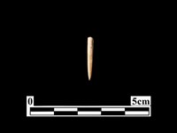 藏品(骨針)的圖片