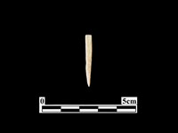 藏品(骨針)的圖片