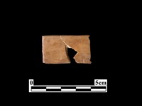 藏品(骨器)的圖片