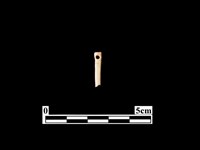 藏品(骨針)的圖片