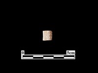 藏品(骨器)的圖片