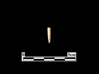 藏品(骨針)的圖片