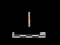 藏品(骨器)的圖片