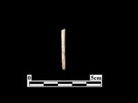 藏品(骨器)的圖片