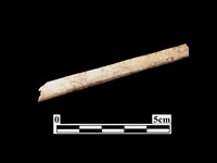 藏品(骨器)的圖片